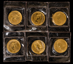カナダ10ドルメイプルリーフ　金貨1/4OZ（純金約7.785ｇ）（1983年）未使用　6枚（合計約46.71g）　KM＃136  
