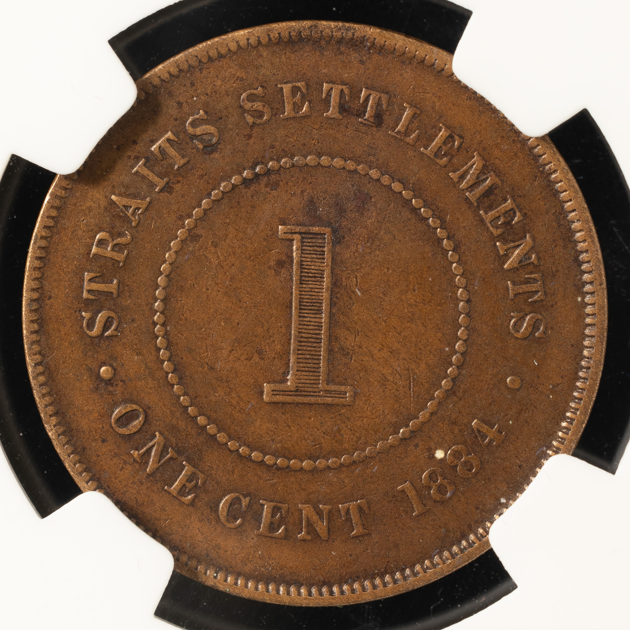 貨幣博物館 | 海峡植民地 1セント銅貨「ヤング・ヴィクトリア女王