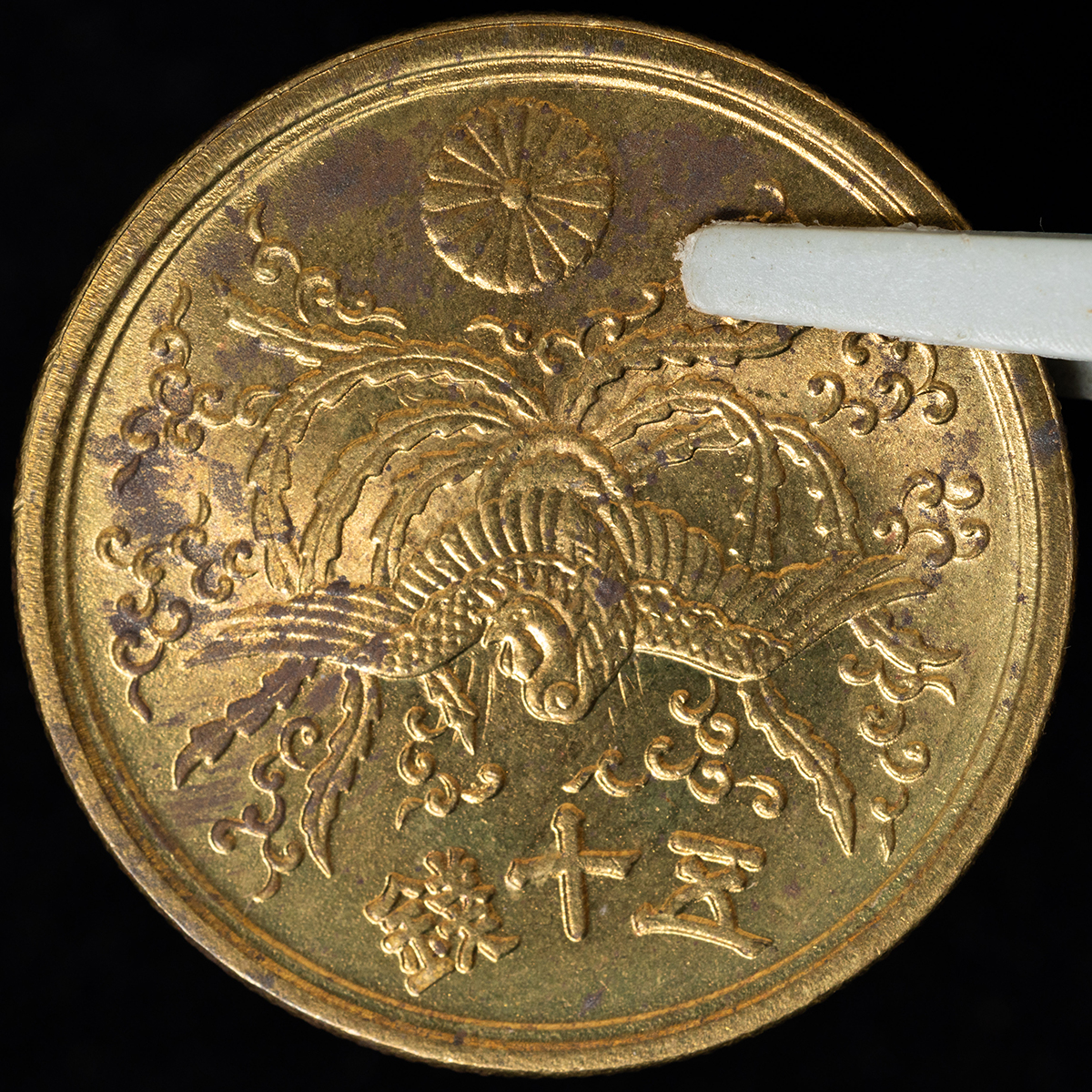 貨幣博物館 | 大型50銭黄銅貨 計9枚（光線入）（昭和21年） 返品不可